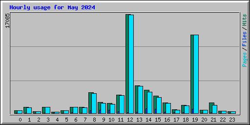 Hourly usage for May 2024