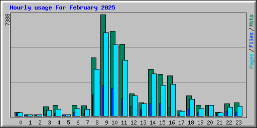 Hourly usage for February 2025